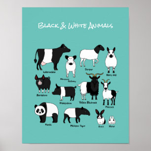 Cartoon mignon noir et blanc affiche Animaux