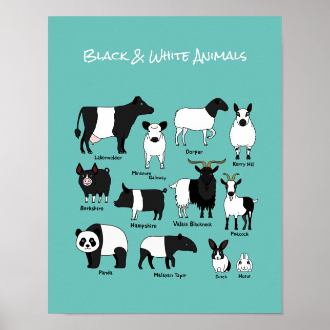 Cartoon mignon noir et blanc affiche Animaux (Devant)