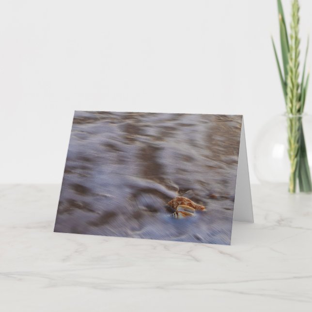 Cartouches de mer dans la carte de voeux Surf (Devant)