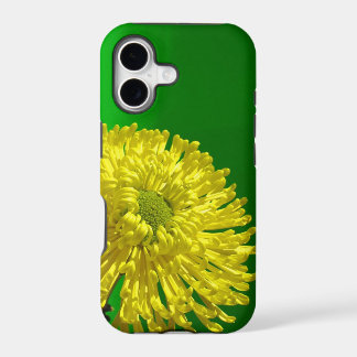 cas de l'iphone 5s