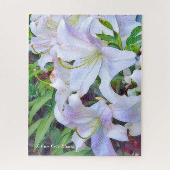 Casablanca [Fleur] Puzzle (Vertical)