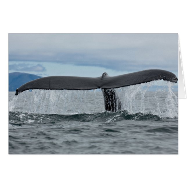 Cascade (Devant horizontal)