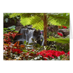 Cascade