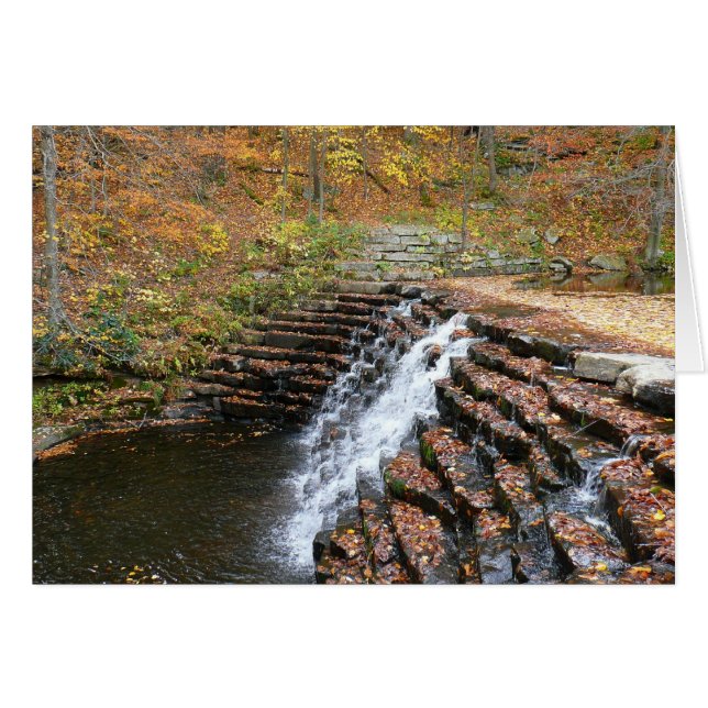 Cascade à Laurel Hill State Park II (Devant horizontal)