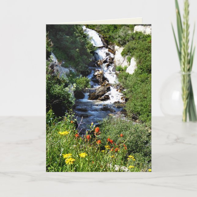 Cascade avec Fleurs sauvages, carte de voeux vierg (Devant)