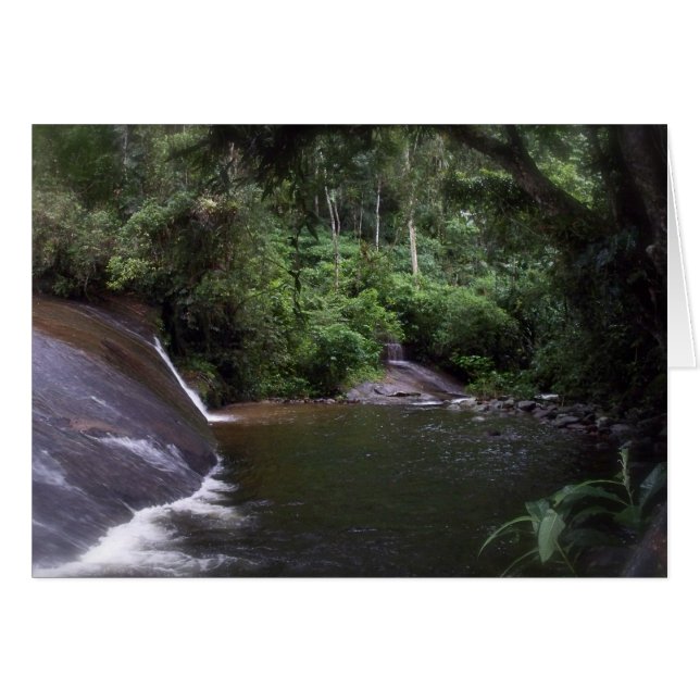 Cascade brésilienne (Devant Horizontal)