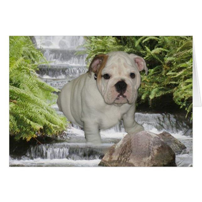 Cascade Bulldog Puppy Card (Devant horizontal)