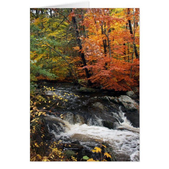 Cascade d'automne (Devant)
