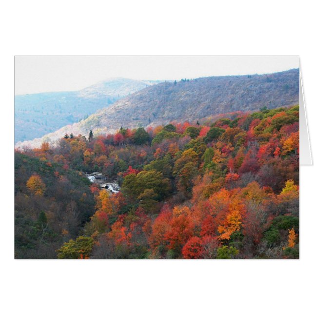 Cascade d'automne (Devant horizontal)