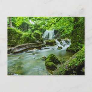 Cascade de la forêt paisible Photo Carte postale