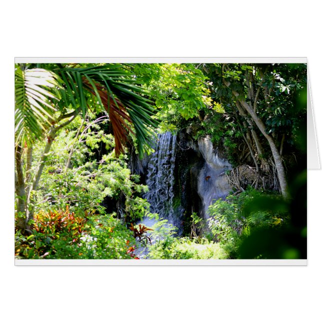 Cascade des Bahamas (Devant horizontal)