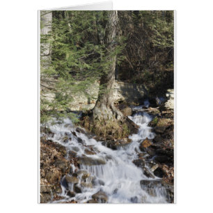 Cascade des montagnes