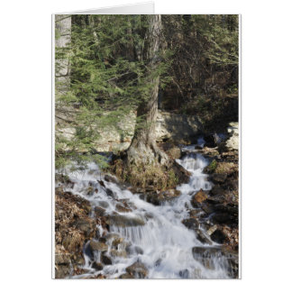 Cascade des montagnes