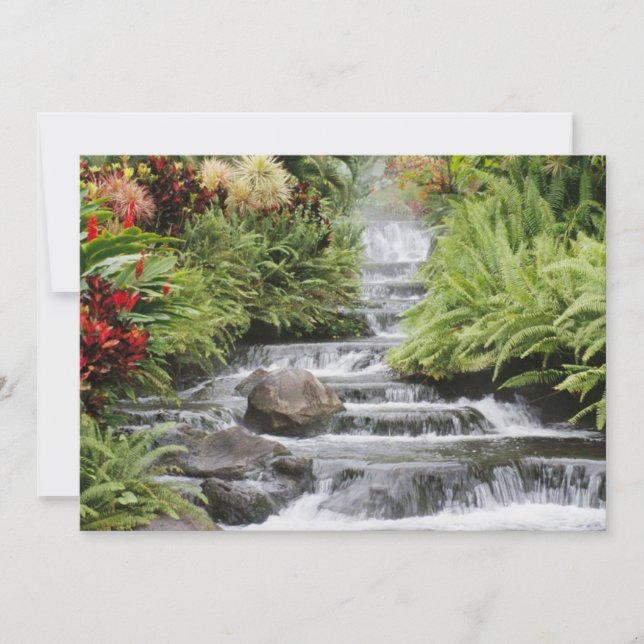 Cascade dorée (Devant)