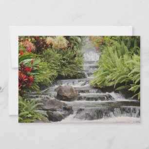 Cascade dorée