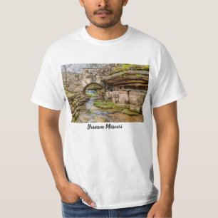 Cascade d'Ozarks sous le pont T-Shirt