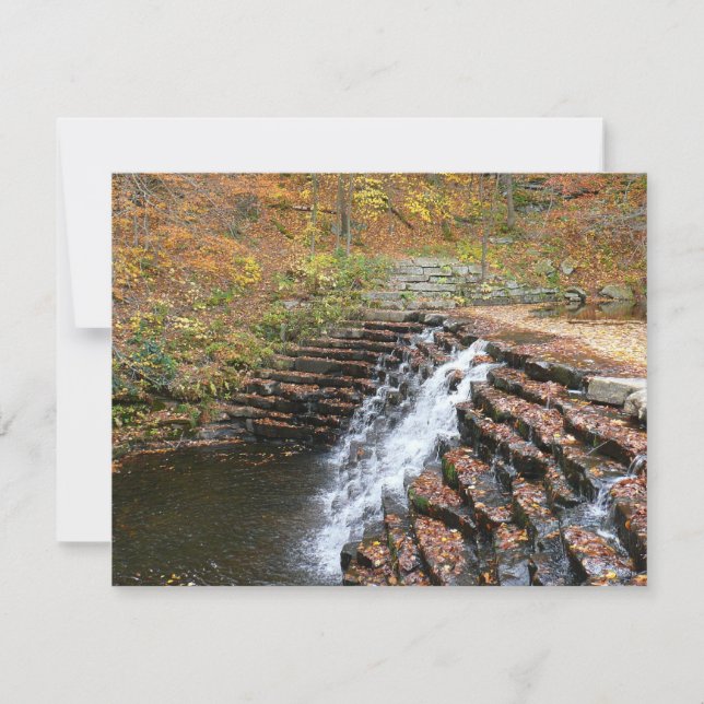 Cascade du parc d'état Laurel Hill State Park II (Devant)