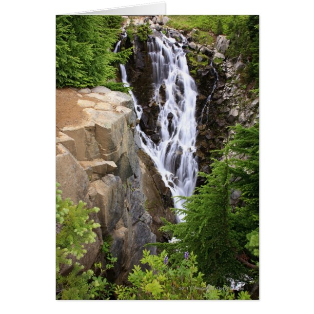 Cascade du parc national du Mont Rainier (Devant)