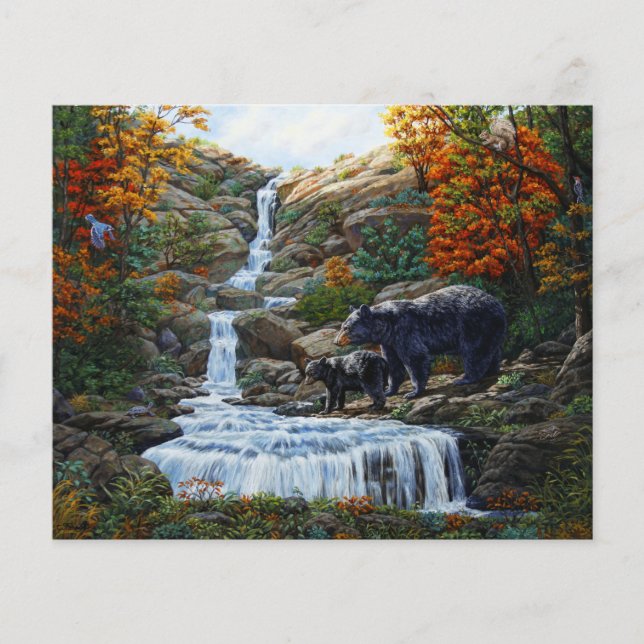 Cascade Mère et Cube Ours Noir (Devant)