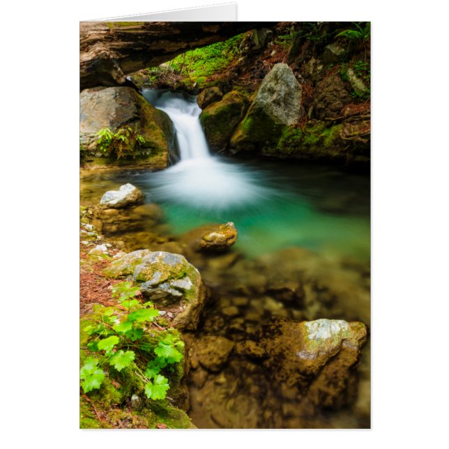 Cascade sur Hare Creek, Californie (Devant)