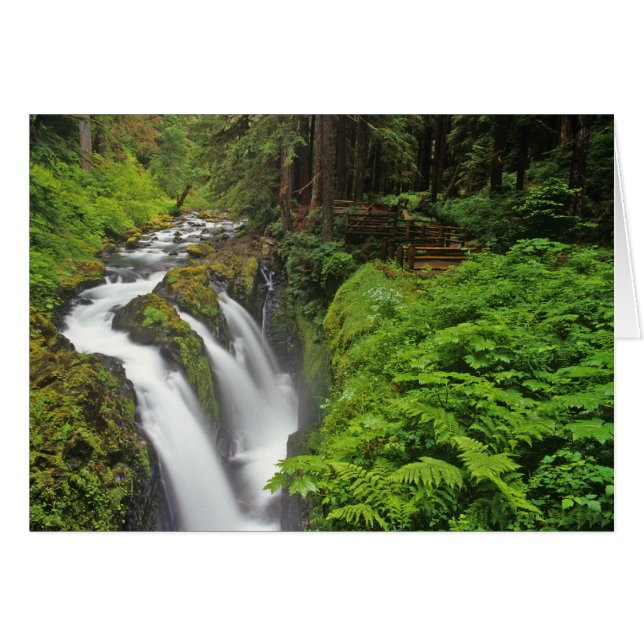 Cascades de Sol Duc dans le parc national Olympiqu (Devant horizontal)