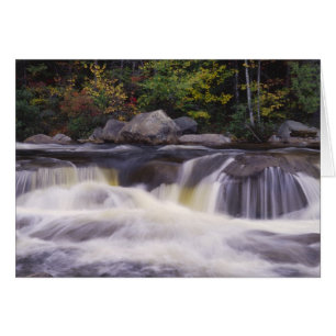 Cascades, Route Kancamagus, Blanc