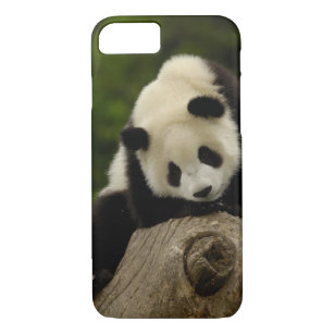 Case-Mate iPhone Case Bébé de panda géant (melanoleuca d'Ailuropoda) 2