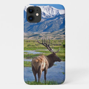 Case-Mate iPhone Case Colorado Rocky Mountains Elk
