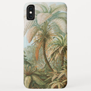 Case-Mate iPhone Case Ferns, Filicinae Laubfarne par Ernst Haeckel