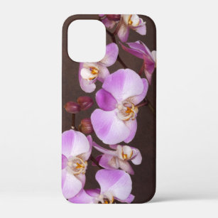 Case-Mate iPhone Case Grosse orchidée violette et blanche