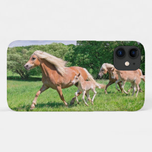Case-Mate iPhone Case Haflinger Horses Cute Fote Fote Run Funny Animal P
