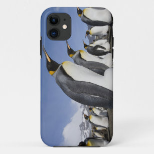 Case-Mate iPhone Case L'Antarctique, île du sud de la Géorgie (R-U), roi
