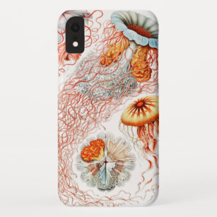 Case-Mate iPhone Case Méduse, Discomedusae par Ernst Haeckel