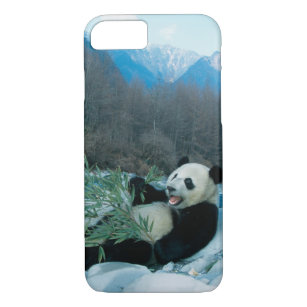 Case-Mate iPhone Case Panda mangeant le bambou par la berge, Wolong, 2
