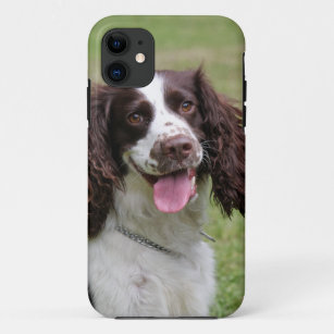 Case-Mate iPhone Case Photo de chien d'épagneul de springer anglais