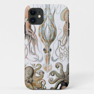 Case-Mate iPhone Case Poster de poulpe et de calmar Ernst Haeckel Vintag
