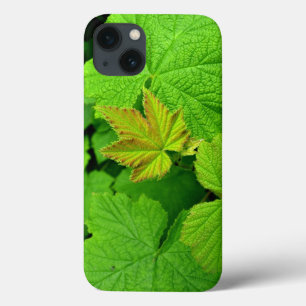 Case-Mate iPhone Coque Ipad Air Feuille vert