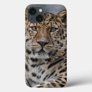 Case-Mate iPhone Coque ipad de pensées de léopard