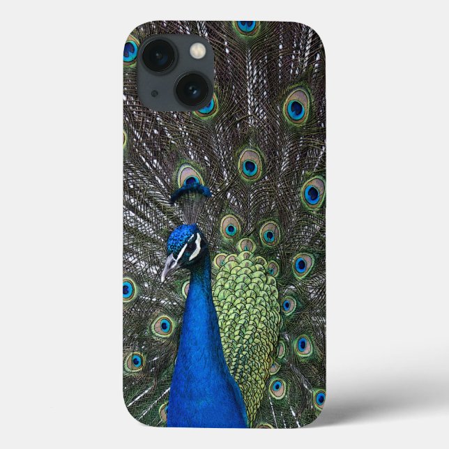 Case-Mate iPhone Coque ipad Peacock (Verso)