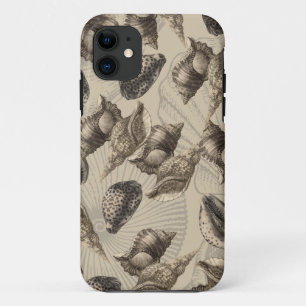 Coques de mer