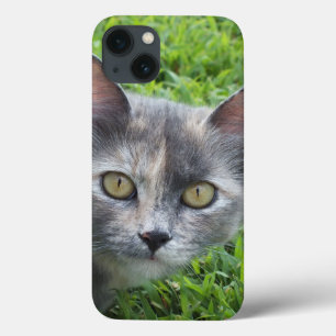 Case-Mate iPhone Crème bleue - Tortie Kitty coque ipad