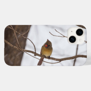 Case-Mate iPhone La Neige Dit À Nouveau Mme Le Cardinal coque iphon