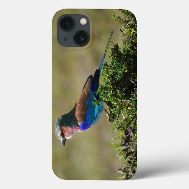 Case-Mate iPhone Lilac Breasted Roller iPad Mini coque (Verso)