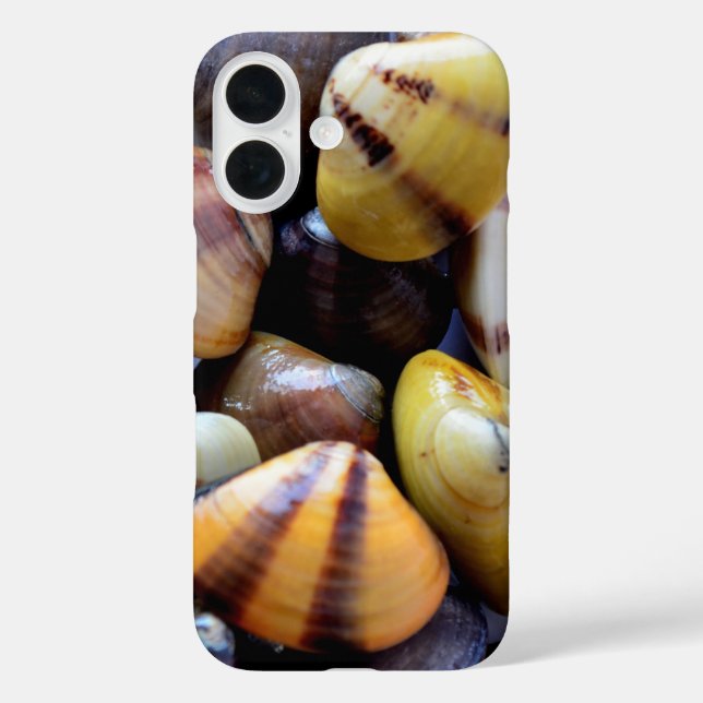 Case-Mate iPhone Minuscules Coques Colorées (Verso)