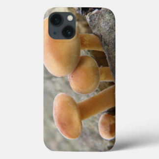 Case-Mate iPhone Tabourets sur un coque ipad de tronc d'arbre