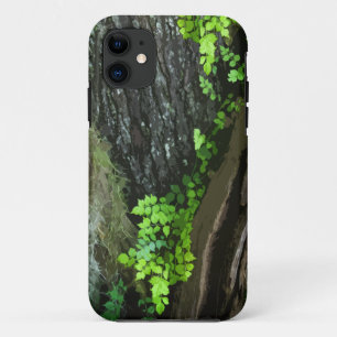 Case-Mate Pour iPhone Vignes sur Coque iPhone5 de l'arbre 1