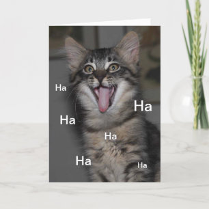 Caspian Kitten Hospital Obtenez bientôt une carte 