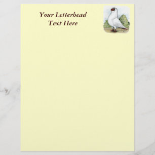 Casque : Pigeon rouge