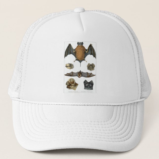 Casquette 19e impression de chaume C. (Devant)