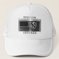 1re division de cavalerie Opération Liberté immuab